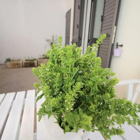 Home Holiday Salento Casa Agrosi Supersano Zewnętrze zdjęcie